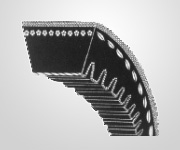 Raw Edge Belt
